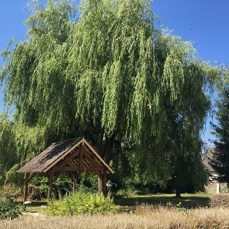Charmant T2 Rdc Dans Residence Avec Parc Arbore Saint-Pierre-le-Moûtier Eksteriør billede